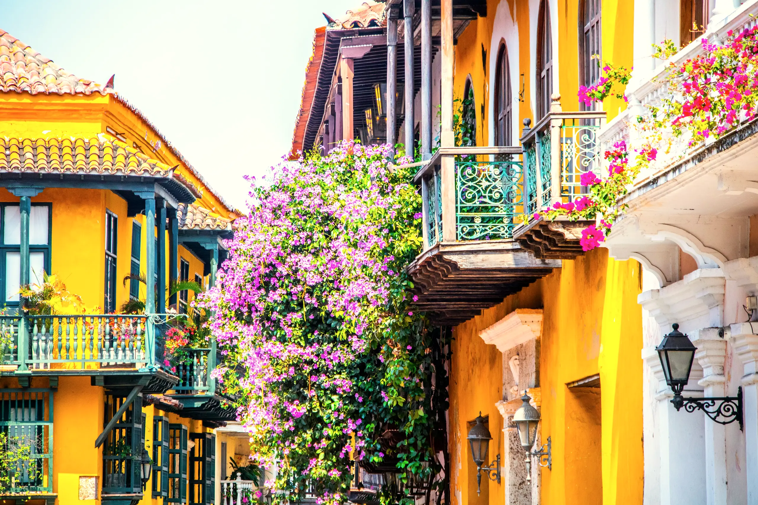 Fachadas amarillas y azules con balcones y buganvilias moradas