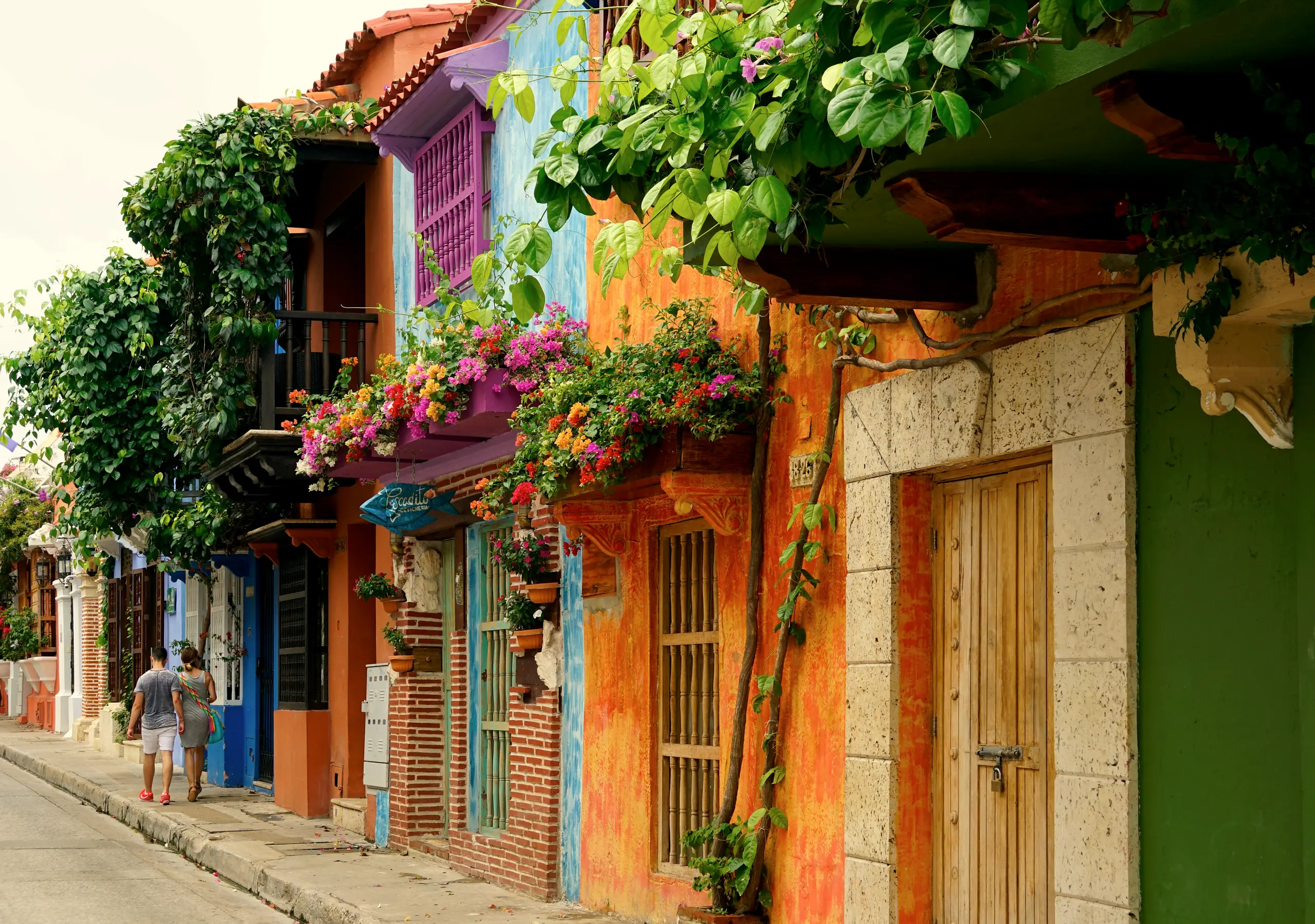 Casas de colores con balcones y plantas trepadoras en una calle del centro