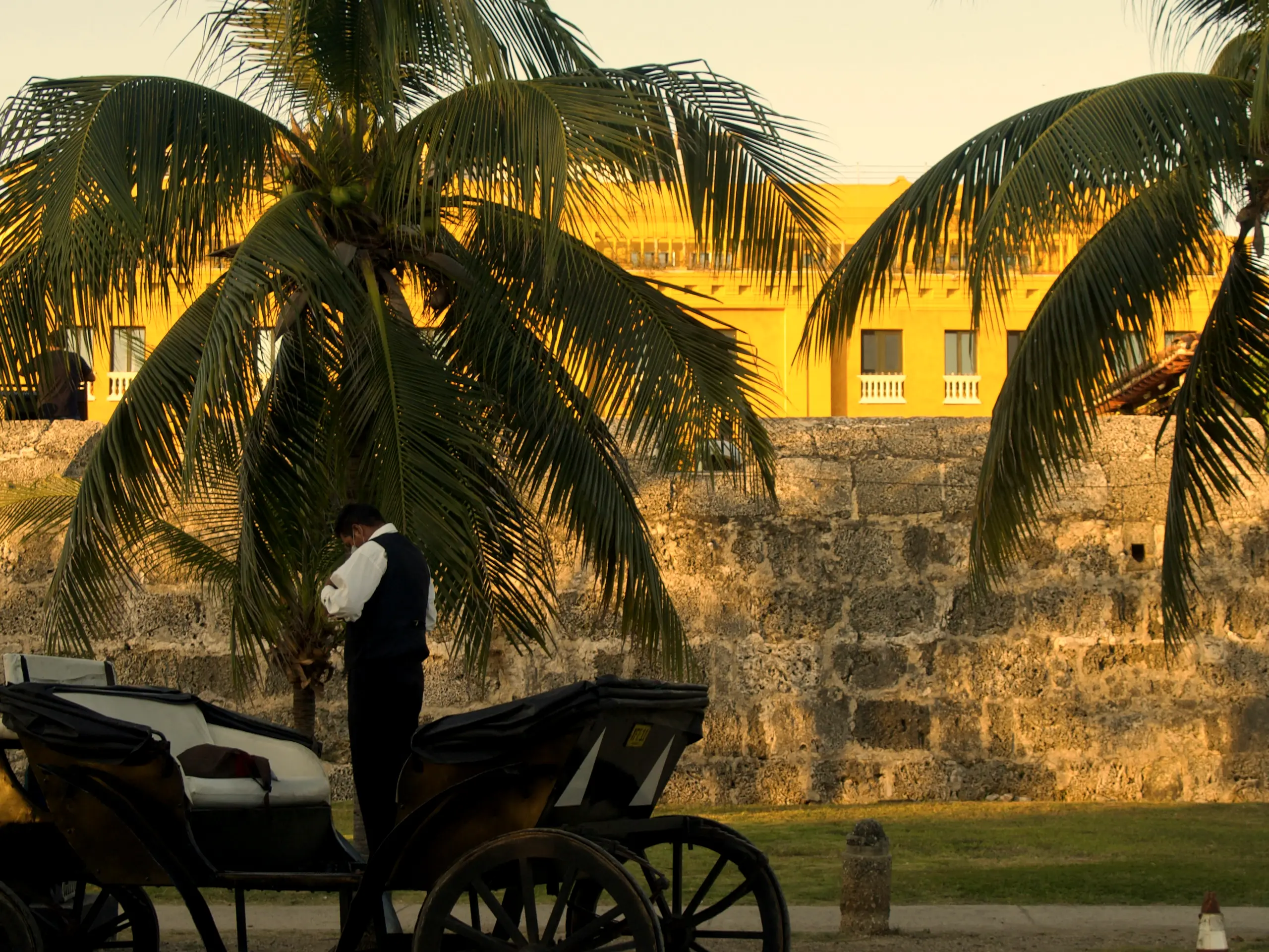 Horse-drawn carriage by the city wall under palms at sunset